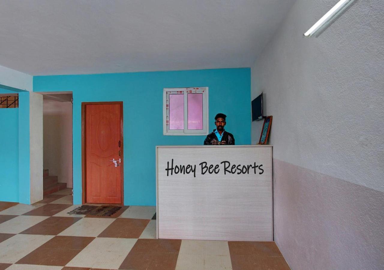 Honey Bee - Near *